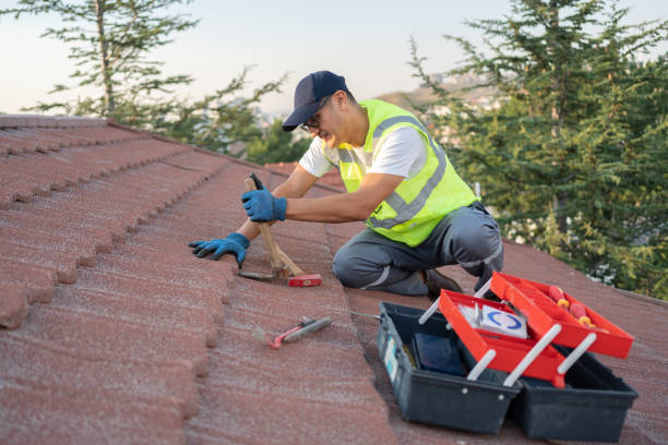 Roof Gutter Cleaning in Pea Ridge, FL