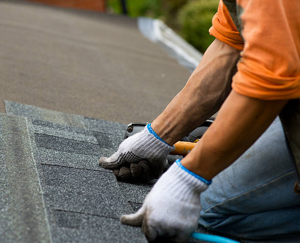 Best Roof Gutter Cleaning  in Pea Ridge, FL