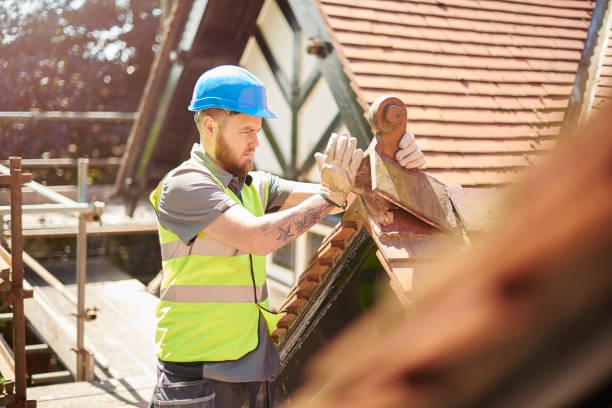 Best Roof Gutter Cleaning  in Pea Ridge, FL